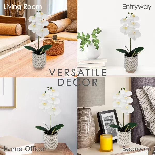 Elements Mikasa Artificial Orchid in Pot, Real Touch Phalaenopsis Orchid, Faux Floral Décor for Wedding, Home, Office, Party, Hotel, Salon, 16-Inch, White