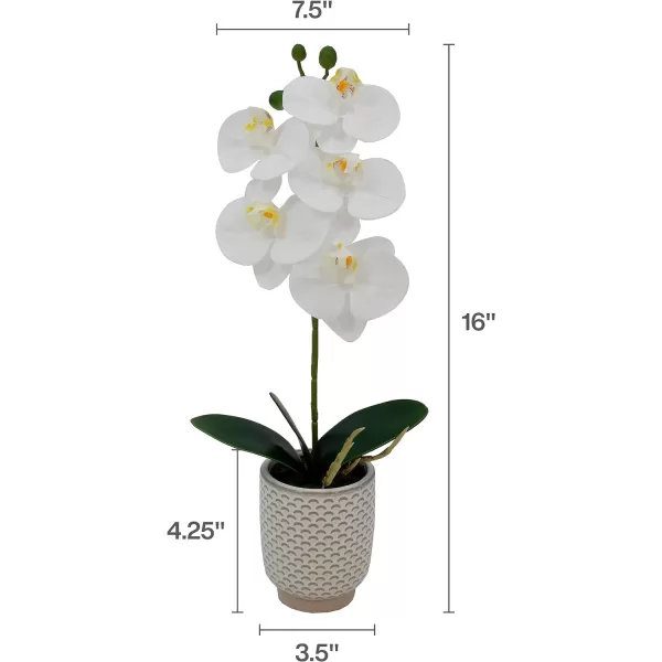 Elements Mikasa Artificial Orchid in Pot, Real Touch Phalaenopsis Orchid, Faux Floral Décor for Wedding, Home, Office, Party, Hotel, Salon, 16-Inch, White