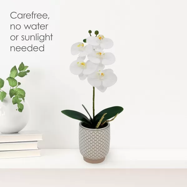 Elements Mikasa Artificial Orchid in Pot, Real Touch Phalaenopsis Orchid, Faux Floral Décor for Wedding, Home, Office, Party, Hotel, Salon, 16-Inch, White