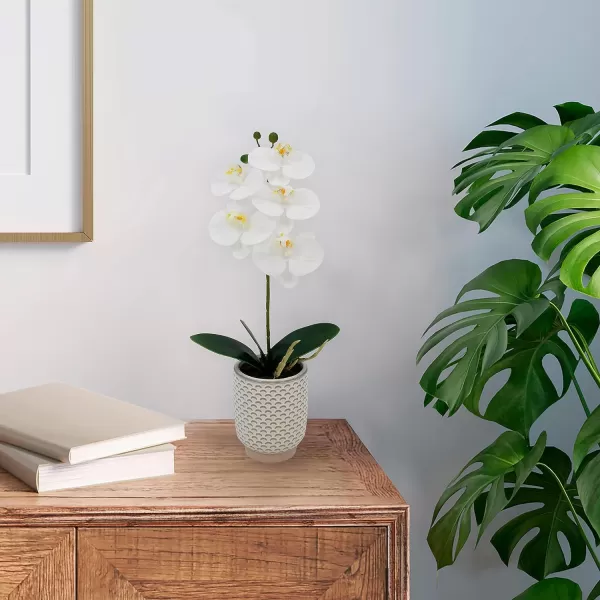 Elements Mikasa Artificial Orchid in Pot, Real Touch Phalaenopsis Orchid, Faux Floral Décor for Wedding, Home, Office, Party, Hotel, Salon, 16-Inch, White