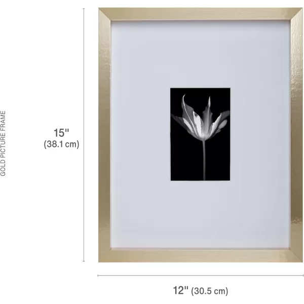 Mikasa 16x16 in. Gallery Frame 15x15 in. Photo without Mat, 5x7 in. Photo with Mat, 2 mm Beveled Mat, Vertical or Horizontal Display, Gray