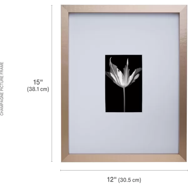 Mikasa 16x16 in. Gallery Frame 15x15 in. Photo without Mat, 5x7 in. Photo with Mat, 2 mm Beveled Mat, Vertical or Horizontal Display, Gray
