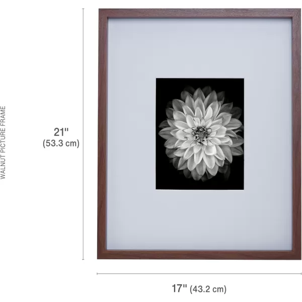 Mikasa 16x16 in. Gallery Frame 15x15 in. Photo without Mat, 5x7 in. Photo with Mat, 2 mm Beveled Mat, Vertical or Horizontal Display, Gray