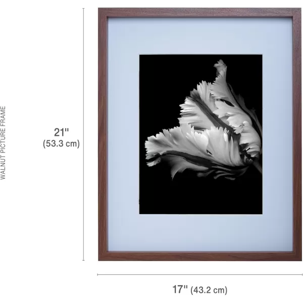 Mikasa 16x16 in. Gallery Frame 15x15 in. Photo without Mat, 5x7 in. Photo with Mat, 2 mm Beveled Mat, Vertical or Horizontal Display, Gray