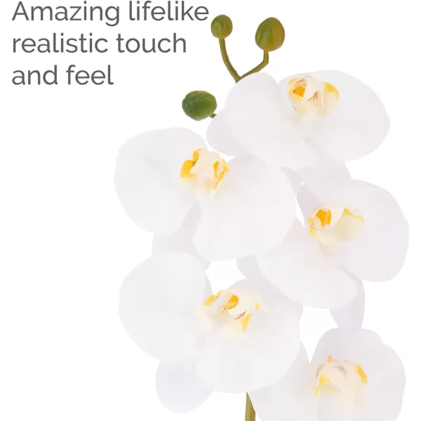 Mikasa Artificial Orchid in Pot, Real Touch Phalaenopsis Orchid, Distressed Grey Cement Pot, 15-Inch Single Branch, Watercolor Pink