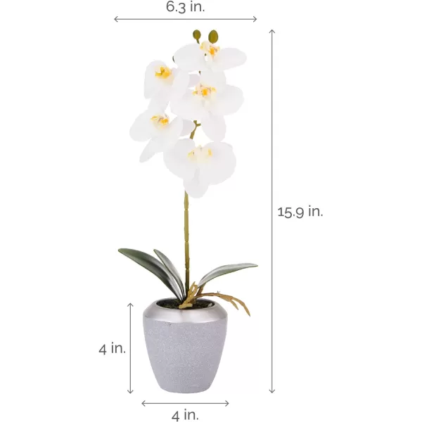 Mikasa Artificial Orchid in Pot, Real Touch Phalaenopsis Orchid, Distressed Grey Cement Pot, 15-Inch Single Branch, Watercolor Pink