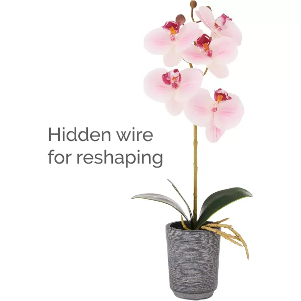 Mikasa Artificial Orchid in Pot, Real Touch Phalaenopsis Orchid, Distressed Grey Cement Pot, 15-Inch Single Branch, Watercolor Pink