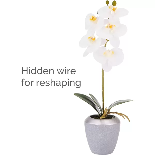 Mikasa Artificial Orchid in Pot, Real Touch Phalaenopsis Orchid, Distressed Grey Cement Pot, 15-Inch Single Branch, Watercolor Pink