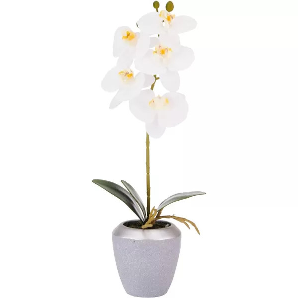 Mikasa Artificial Orchid in Pot, Real Touch Phalaenopsis Orchid, Distressed Grey Cement Pot, 15-Inch Single Branch, Watercolor Pink