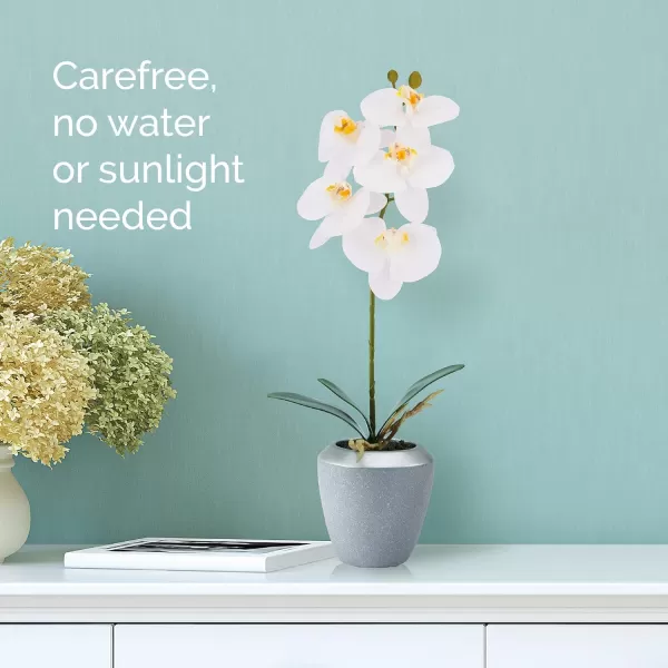 Mikasa Artificial Orchid in Pot, Real Touch Phalaenopsis Orchid, Distressed Grey Cement Pot, 15-Inch Single Branch, Watercolor Pink