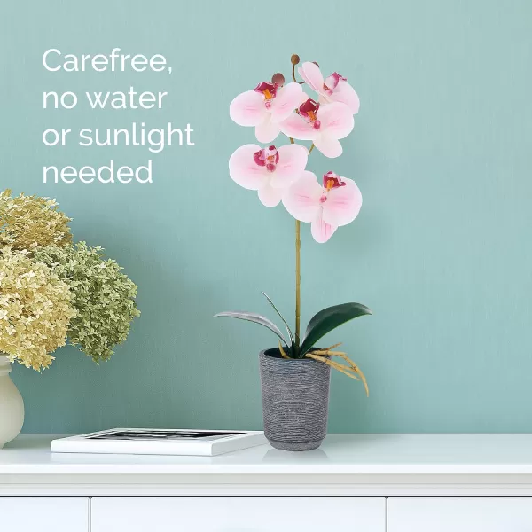 Mikasa Artificial Orchid in Pot, Real Touch Phalaenopsis Orchid, Distressed Grey Cement Pot, 15-Inch Single Branch, Watercolor Pink