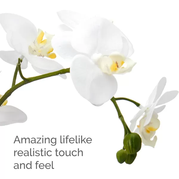 Mikasa Artificial Orchid in Pot, Real Touch Phalaenopsis Orchid, Distressed Grey Cement Pot, 15-Inch Single Branch, Watercolor Pink
