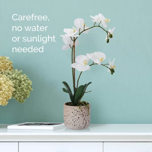 Mikasa Artificial Orchid in Pot, Real Touch Phalaenopsis Orchid, Distressed Grey Cement Pot, 15-Inch Single Branch, Watercolor Pink
