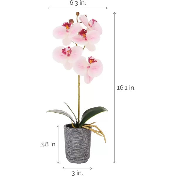 Mikasa Artificial Orchid in Pot, Real Touch Phalaenopsis Orchid, Distressed Grey Cement Pot, 15-Inch Single Branch, Watercolor Pink