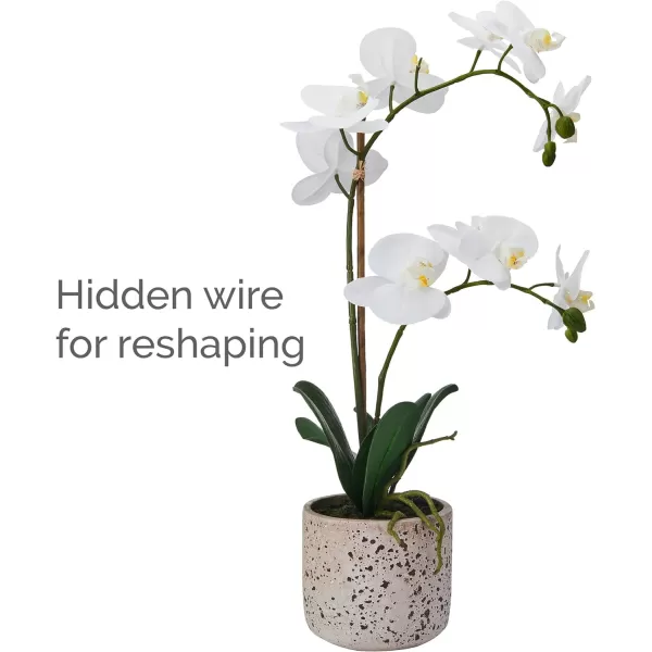 Mikasa Artificial Orchid in Pot, Real Touch Phalaenopsis Orchid, Distressed Grey Cement Pot, 15-Inch Single Branch, Watercolor Pink