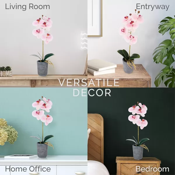 Mikasa Artificial Orchid in Pot, Real Touch Phalaenopsis Orchid, Distressed Grey Cement Pot, 15-Inch Single Branch, Watercolor Pink