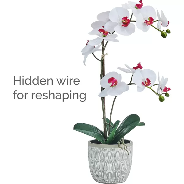 Mikasa Artificial Orchid in Pot, Real Touch Phalaenopsis Orchid, Embossed Fan Cement Pot, 16-Inch Single Branch, White/Yellow