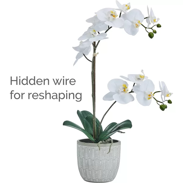 Mikasa Artificial Orchid in Pot, Real Touch Phalaenopsis Orchid, Embossed Fan Cement Pot, 16-Inch Single Branch, White/Yellow
