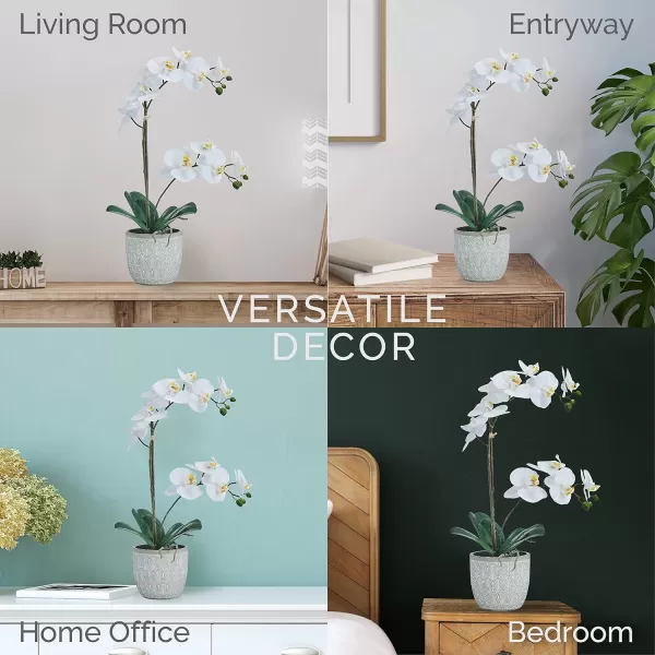 Mikasa Artificial Orchid in Pot, Real Touch Phalaenopsis Orchid, Embossed Fan Cement Pot, 16-Inch Single Branch, White/Yellow