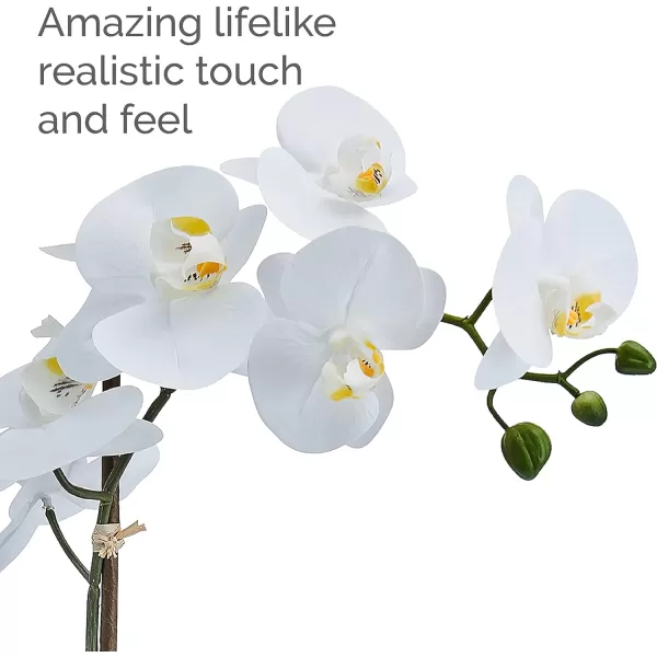 Mikasa Artificial Orchid in Pot, Real Touch Phalaenopsis Orchid, Embossed Fan Cement Pot, 16-Inch Single Branch, White/Yellow
