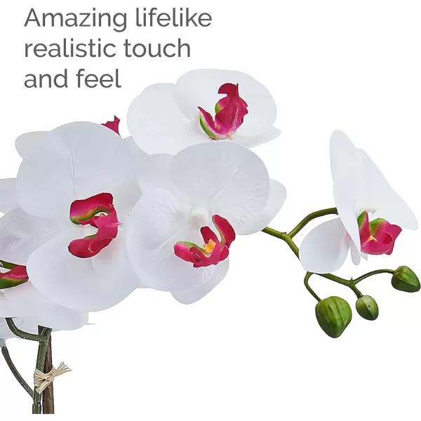 Mikasa Artificial Orchid in Pot, Real Touch Phalaenopsis Orchid, Embossed Fan Cement Pot, 16-Inch Single Branch, White/Yellow