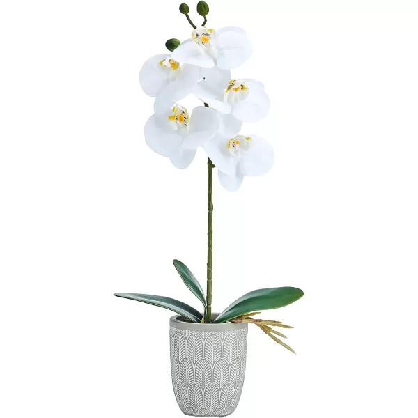 Mikasa Artificial Orchid in Pot, Real Touch Phalaenopsis Orchid, Embossed Fan Cement Pot, 16-Inch Single Branch, White/Yellow