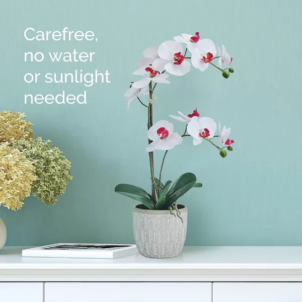 Mikasa Artificial Orchid in Pot, Real Touch Phalaenopsis Orchid, Embossed Fan Cement Pot, 16-Inch Single Branch, White/Yellow