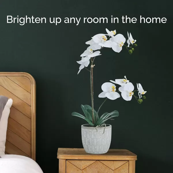 Mikasa Artificial Orchid in Pot, Real Touch Phalaenopsis Orchid, Embossed Fan Cement Pot, 16-Inch Single Branch, White/Yellow