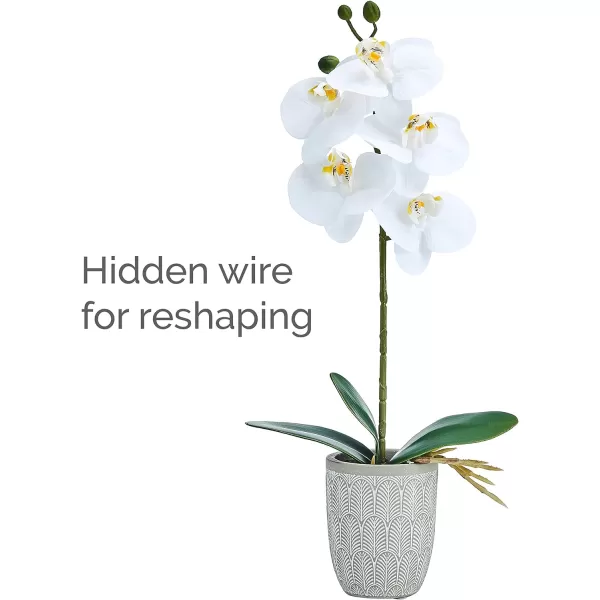 Mikasa Artificial Orchid in Pot, Real Touch Phalaenopsis Orchid, Embossed Fan Cement Pot, 16-Inch Single Branch, White/Yellow