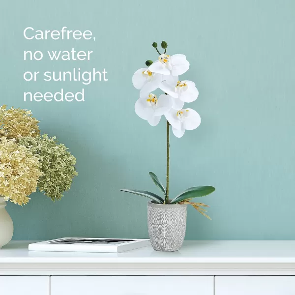 Mikasa Artificial Orchid in Pot, Real Touch Phalaenopsis Orchid, Embossed Fan Cement Pot, 16-Inch Single Branch, White/Yellow