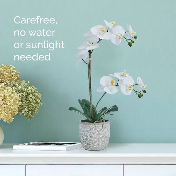 Mikasa Artificial Orchid in Pot, Real Touch Phalaenopsis Orchid, Embossed Fan Cement Pot, 16-Inch Single Branch, White/Yellow