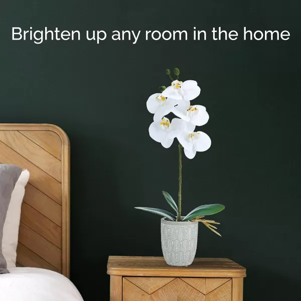Mikasa Artificial Orchid in Pot, Real Touch Phalaenopsis Orchid, Embossed Fan Cement Pot, 16-Inch Single Branch, White/Yellow
