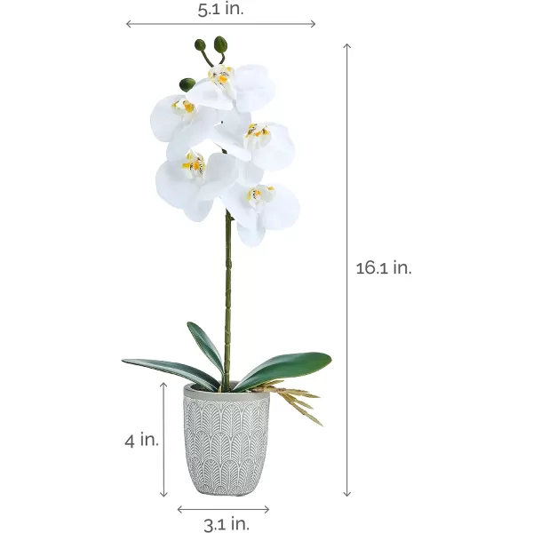 Mikasa Artificial Orchid in Pot, Real Touch Phalaenopsis Orchid, Embossed Fan Cement Pot, 16-Inch Single Branch, White/Yellow