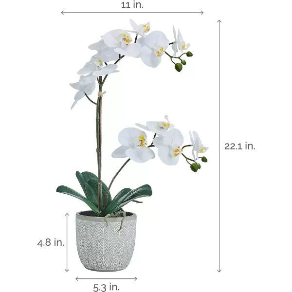Mikasa Artificial Orchid in Pot, Real Touch Phalaenopsis Orchid, Embossed Fan Cement Pot, 16-Inch Single Branch, White/Yellow