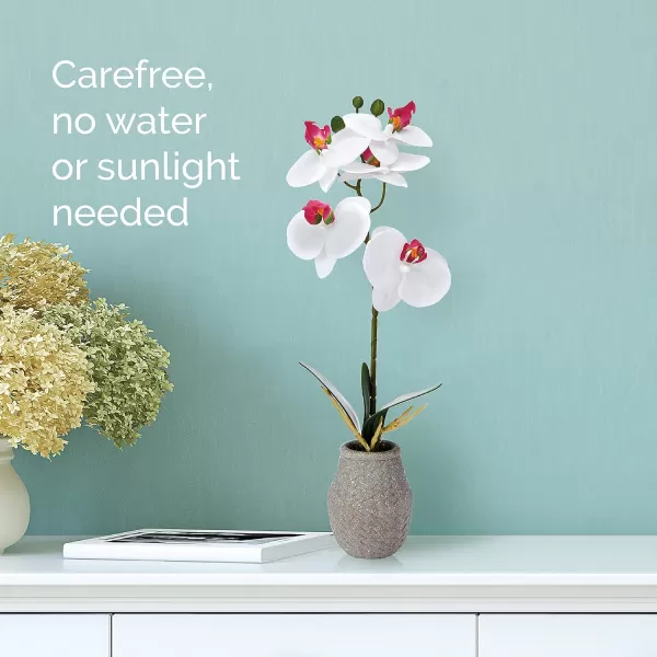 Mikasa Artificial Orchid in Pot, Real Touch Phalaenopsis Orchid, Embossed Weave Cement Pot, 16-Inch Single Branch, White/Pink