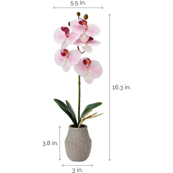 Mikasa Artificial Orchid in Pot, Real Touch Phalaenopsis Orchid, Embossed Weave Cement Pot, 16-Inch Single Branch, White/Pink