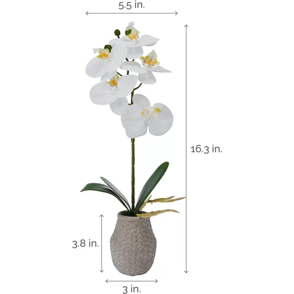 Mikasa Artificial Orchid in Pot, Real Touch Phalaenopsis Orchid, Embossed Weave Cement Pot, 16-Inch Single Branch, White/Pink