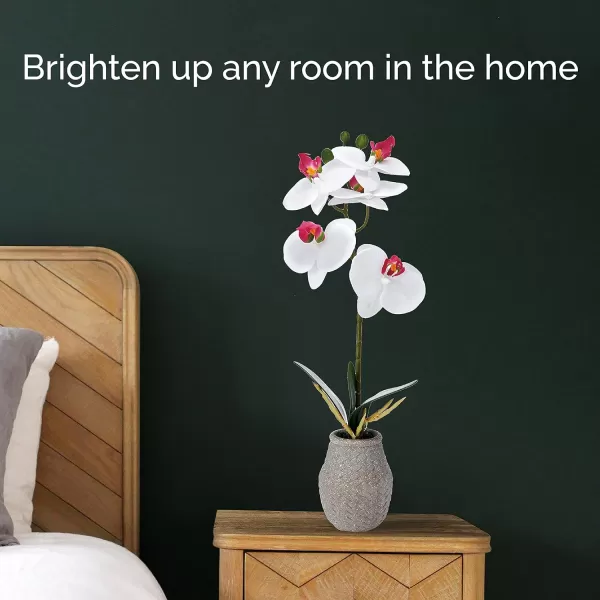 Mikasa Artificial Orchid in Pot, Real Touch Phalaenopsis Orchid, Embossed Weave Cement Pot, 16-Inch Single Branch, White/Pink