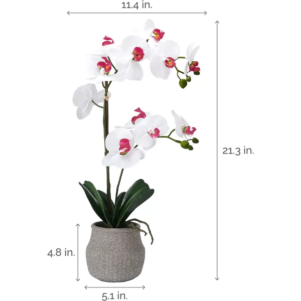 Mikasa Artificial Orchid in Pot, Real Touch Phalaenopsis Orchid, Embossed Weave Cement Pot, 16-Inch Single Branch, White/Pink