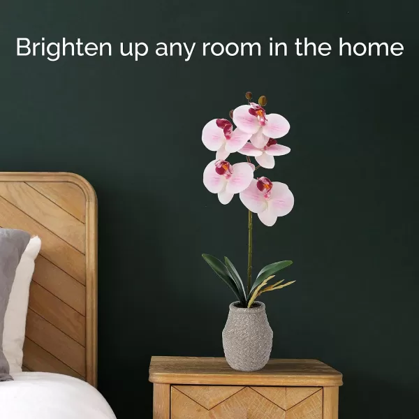 Mikasa Artificial Orchid in Pot, Real Touch Phalaenopsis Orchid, Embossed Weave Cement Pot, 16-Inch Single Branch, White/Pink