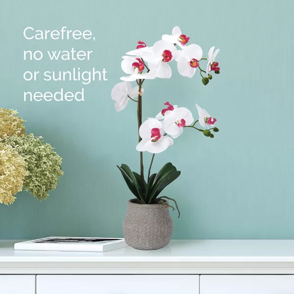 Mikasa Artificial Orchid in Pot, Real Touch Phalaenopsis Orchid, Embossed Weave Cement Pot, 16-Inch Single Branch, White/Pink