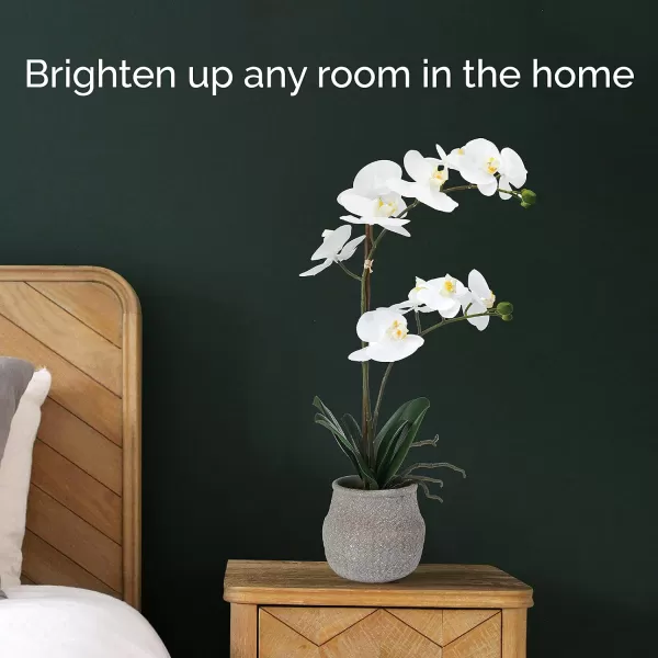 Mikasa Artificial Orchid in Pot, Real Touch Phalaenopsis Orchid, Embossed Weave Cement Pot, 16-Inch Single Branch, White/Pink