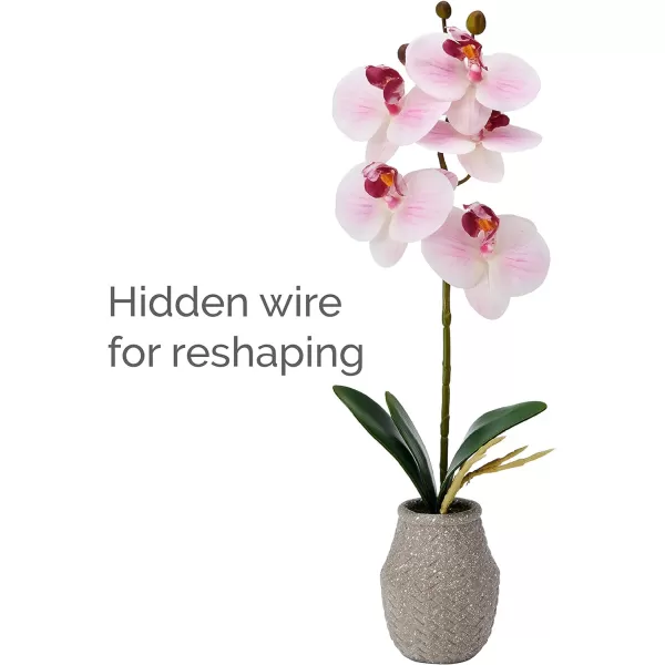 Mikasa Artificial Orchid in Pot, Real Touch Phalaenopsis Orchid, Embossed Weave Cement Pot, 16-Inch Single Branch, White/Pink
