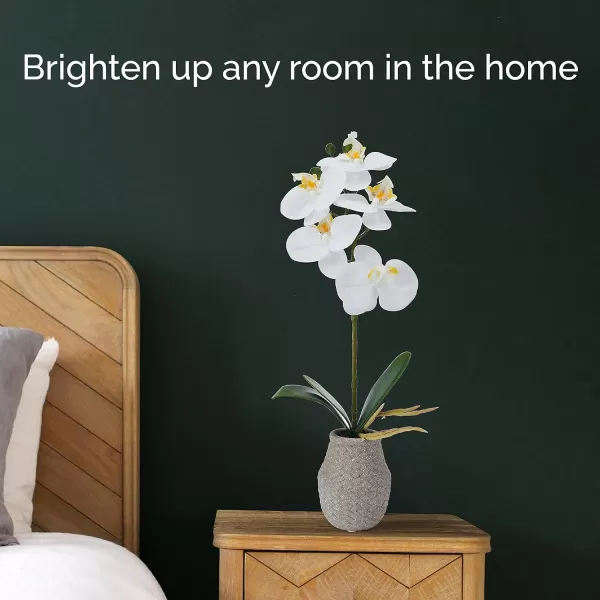 Mikasa Artificial Orchid in Pot, Real Touch Phalaenopsis Orchid, Embossed Weave Cement Pot, 16-Inch Single Branch, White/Pink