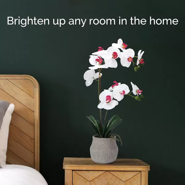 Mikasa Artificial Orchid in Pot, Real Touch Phalaenopsis Orchid, Embossed Weave Cement Pot, 16-Inch Single Branch, White/Pink