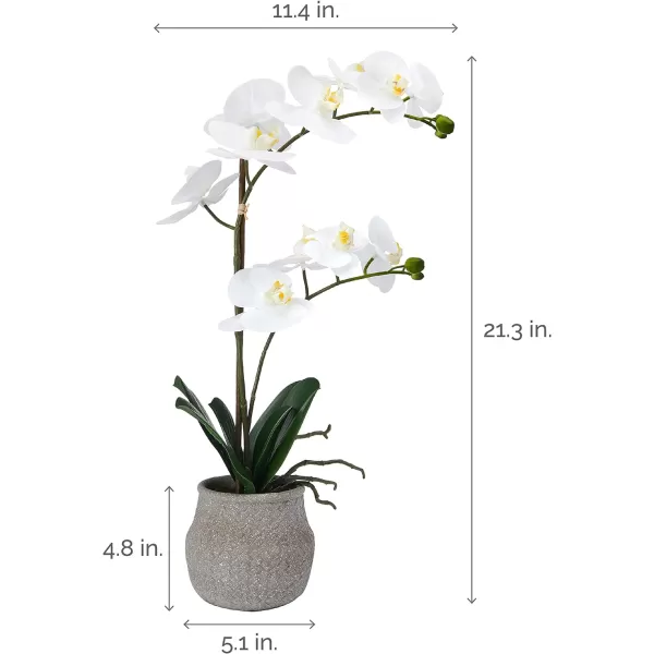 Mikasa Artificial Orchid in Pot, Real Touch Phalaenopsis Orchid, Embossed Weave Cement Pot, 16-Inch Single Branch, White/Pink