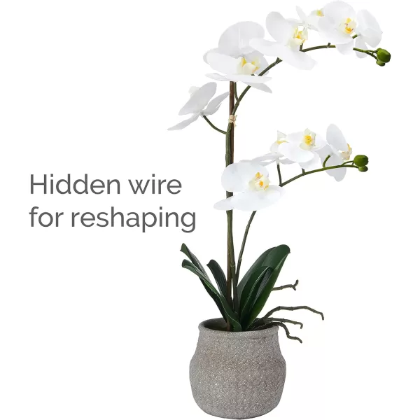 Mikasa Artificial Orchid in Pot, Real Touch Phalaenopsis Orchid, Embossed Weave Cement Pot, 16-Inch Single Branch, White/Pink