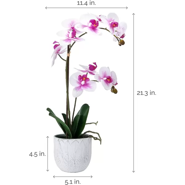Mikasa Artificial Orchid in Pot, Real Touch Phalaenopsis Orchid, Embossed Weave Cement Pot, 22-Inch Double Branch, Watercolor Pink