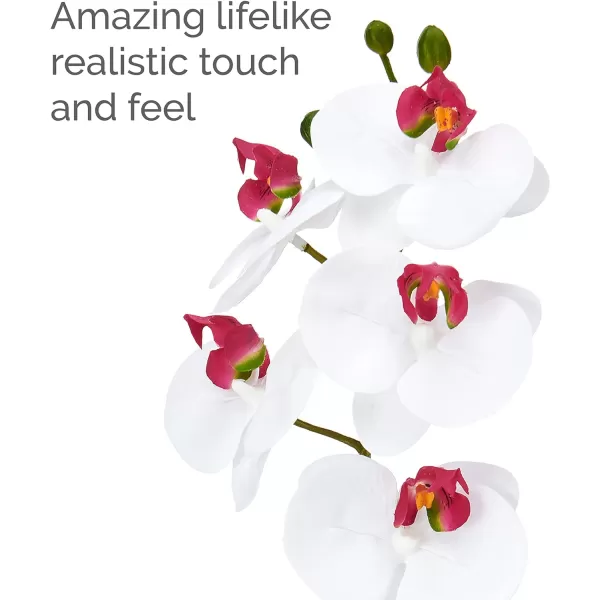 Mikasa Artificial Orchid in Pot, Real Touch Phalaenopsis Orchid, Embossed Weave Cement Pot, 22-Inch Double Branch, Watercolor Pink