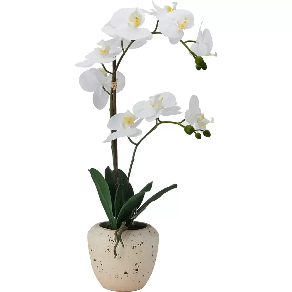 Mikasa Artificial Orchid in Pot, Real Touch Phalaenopsis Orchid, Embossed Weave Cement Pot, 22-Inch Double Branch, Watercolor Pink